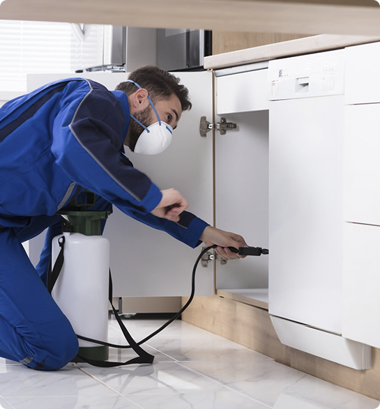 Pest Control Canberra